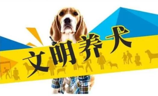 2023年3月1日起施行！《黃石市養(yǎng)犬管理?xiàng)l例》來了