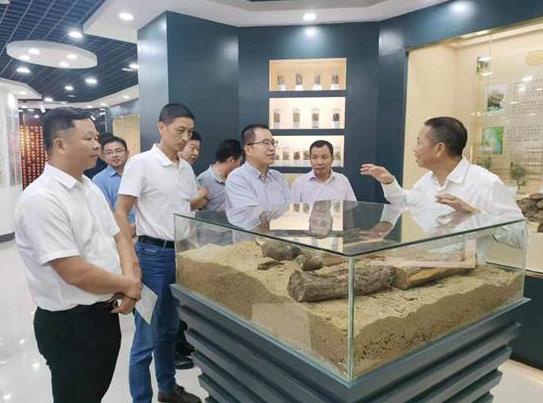 生態環境部調研組到羅田縣開展“兩山”實踐創新基地現場調研活動